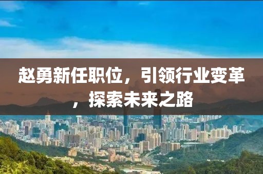 趙勇新任職位,引領行業變革,探索未來之路