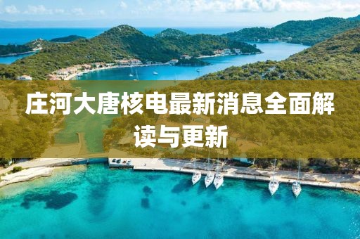 莊河大唐核電最新消息全面解讀與更新