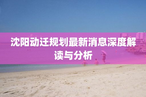 沈陽動(dòng)遷規(guī)劃最新消息深度解讀與分析