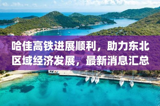 哈佳高鐵進展順利,助力東北區域經濟發展,最新消息匯總