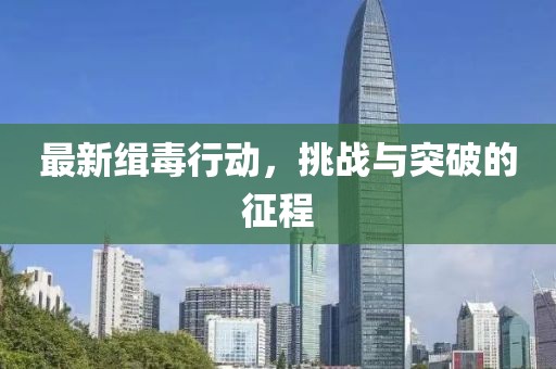 最新緝毒行動，挑戰(zhàn)與突破的征程