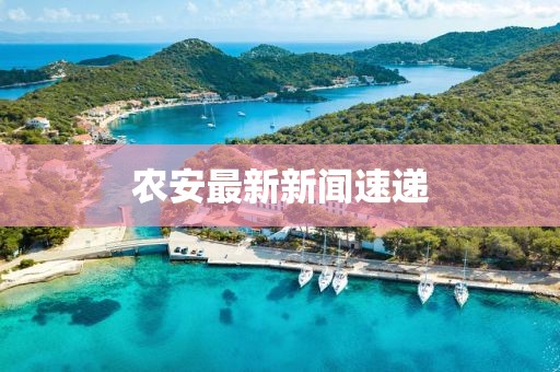 農安最新新聞速遞