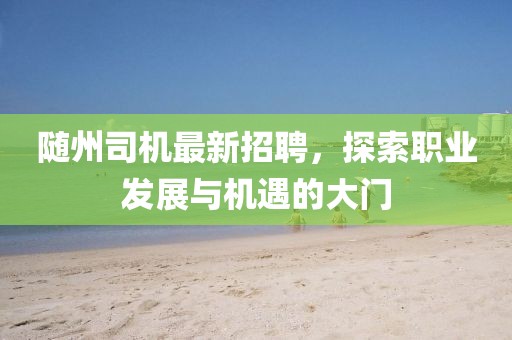 隨州司機最新招聘,探索職業發展與機遇的大門