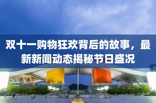 雙十一購物狂歡背后的故事,最新新聞動態揭秘節日盛況
