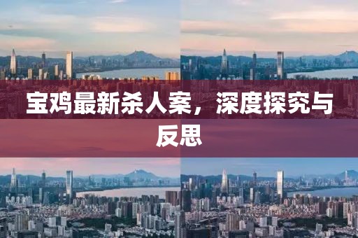 寶雞最新殺人案,深度探究與反思