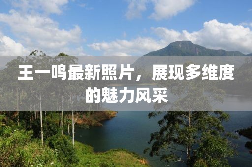 王一鳴最新照片,展現多維度的魅力風采