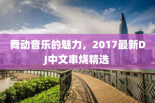 舞動音樂的魅力，2017最新DJ中文串燒精選