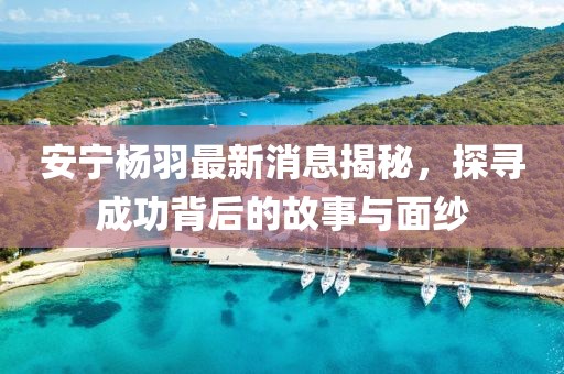 安寧楊羽最新消息揭秘,探尋成功背后的故事與面紗