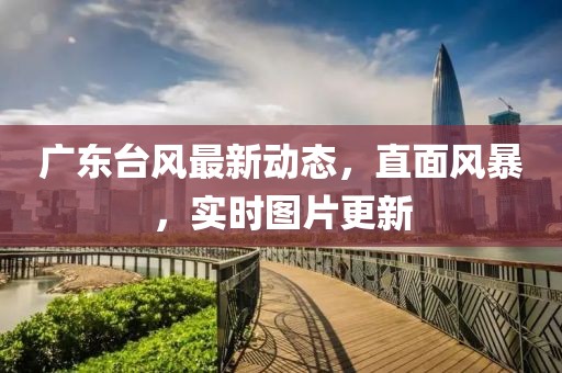 廣東臺風最新動態，直面風暴，實時圖片更新