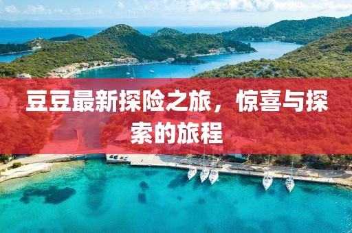 豆豆最新探險之旅,驚喜與探索的旅程