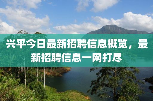 興平今日最新招聘信息概覽,最新招聘信息一網打盡