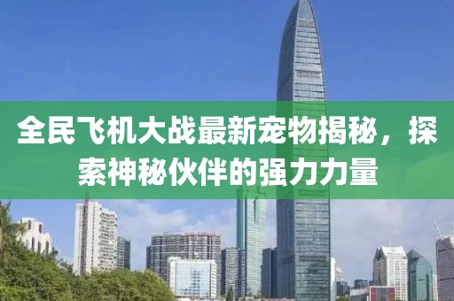 全民飛機(jī)大戰(zhàn)最新寵物揭秘,探索神秘伙伴的強(qiáng)力力量