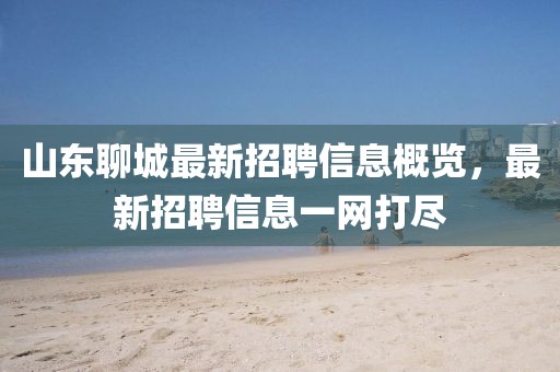 山東聊城最新招聘信息概覽,最新招聘信息一網打盡