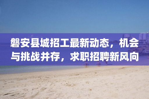 磐安縣城招工最新動態,機會與挑戰并存,求職招聘新風向