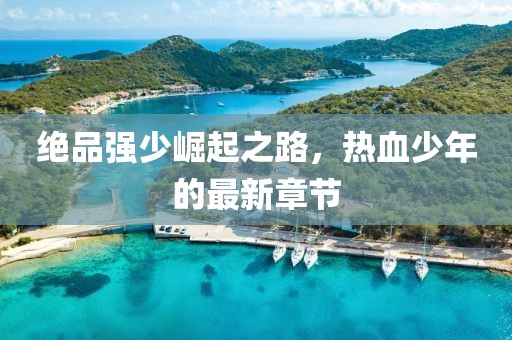 絕品強少崛起之路,熱血少年的最新章節