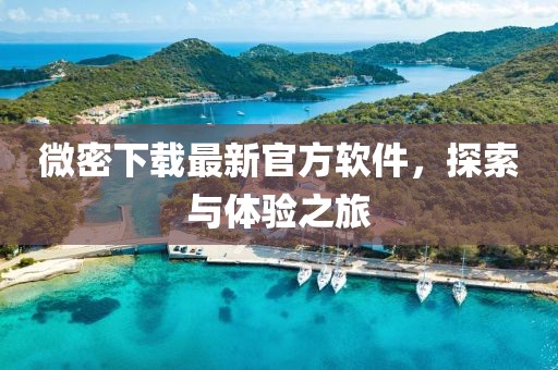 微密下載最新官方軟件,探索與體驗(yàn)之旅
