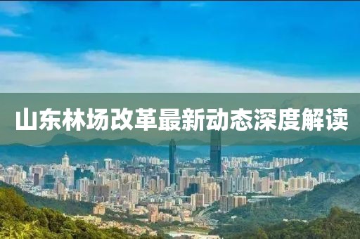 山東林場改革最新動態(tài)深度解讀