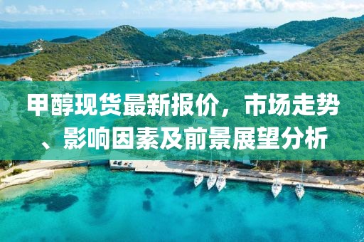 甲醇現貨最新報價，市場走勢、影響因素及前景展望分析