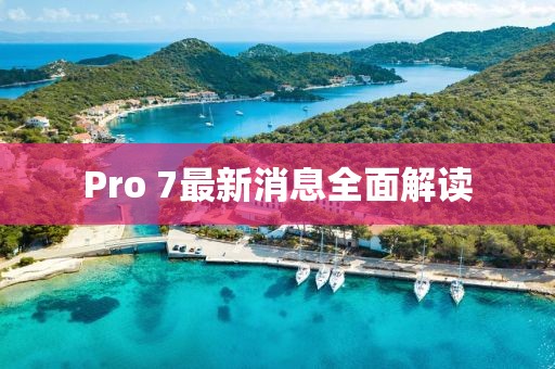 Pro 7最新消息全面解讀