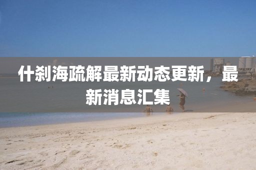 什剎海疏解最新動(dòng)態(tài)更新,最新消息匯集