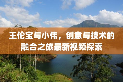 王倫寶與小偉,創意與技術的融合之旅最新視頻探索