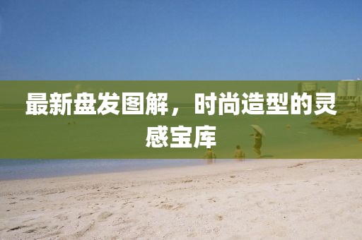 最新盤發(fā)圖解,時尚造型的靈感寶庫