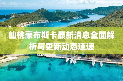 仙桃豪布斯卡最新消息全面解析與更新動態速遞