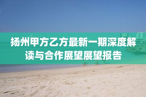 揚州甲方乙方最新一期深度解讀與合作展望展望報告