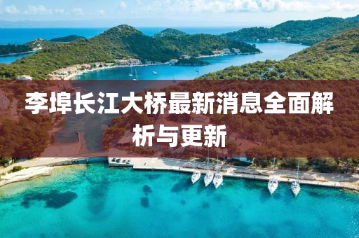 李埠長江大橋最新消息全面解析與更新