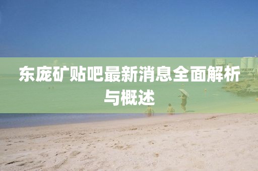 東龐礦貼吧最新消息全面解析與概述