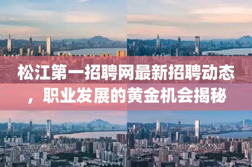 松江第一招聘網最新招聘動態,職業發展的黃金機會揭秘