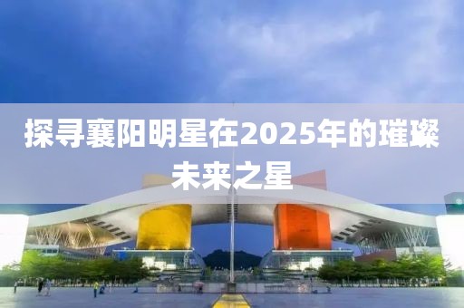 探尋襄陽明星在2025年的璀璨未來之星