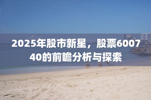 2025年股市新星,股票600740的前瞻分析與探索