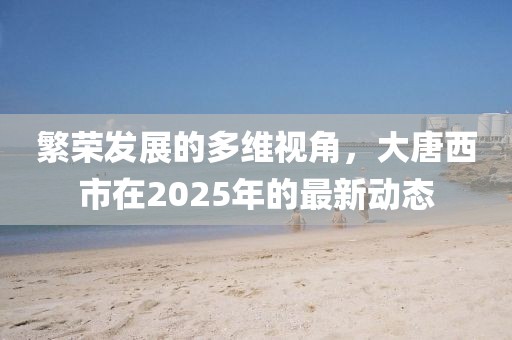 繁榮發展的多維視角，大唐西市在2025年的最新動態