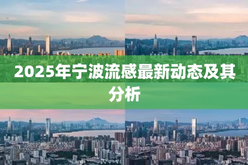 2025年寧波流感最新動態及其分析