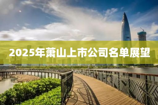 2025年蕭山上市公司名單展望
