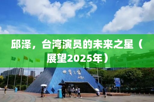 邱澤,臺灣演員的未來之星(展望2025年)