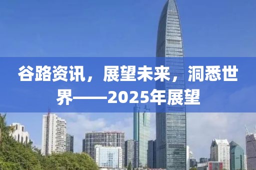 谷路資訊,展望未來,洞悉世界——2025年展望