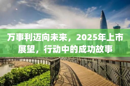 萬(wàn)事利邁向未來(lái),2025年上市展望,行動(dòng)中的成功故事