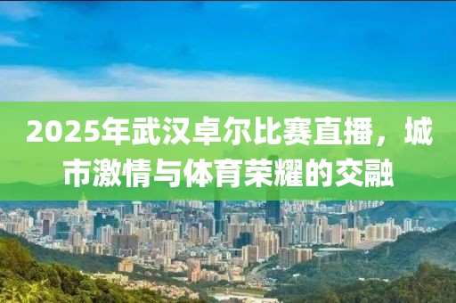 2025年武漢卓爾比賽直播,城市激情與體育榮耀的交融