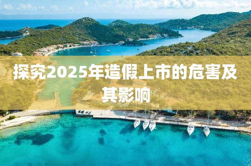 探究2025年造假上市的危害及其影響