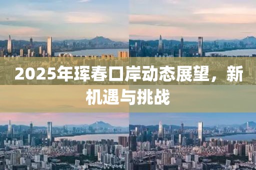 2025年琿春口岸動(dòng)態(tài)展望，新機(jī)遇與挑戰(zhàn)