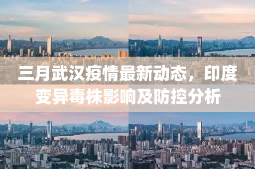 三月武漢疫情最新動態,印度變異毒株影響及防控分析