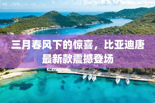 三月春風下的驚喜，比亞迪唐最新款震撼登場