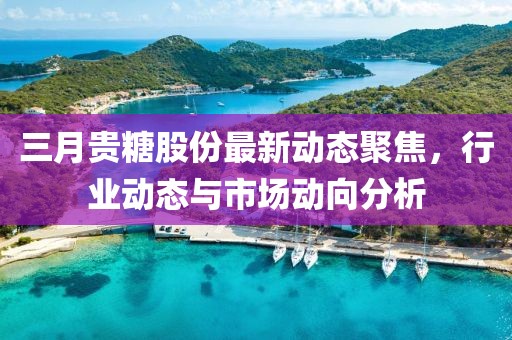 三月貴糖股份最新動態聚焦,行業動態與市場動向分析