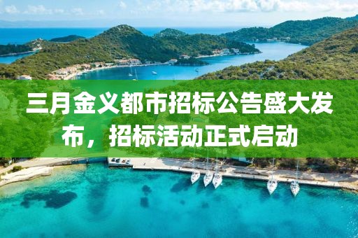 三月金義都市招標公告盛大發布,招標活動正式啟動
