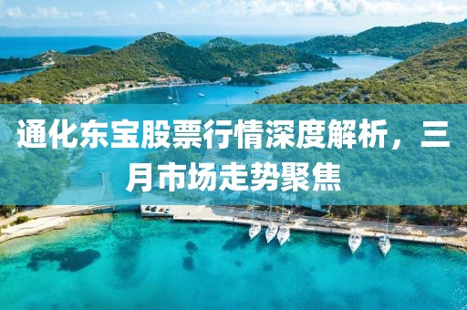 通化東寶股票行情深度解析，三月市場走勢聚焦