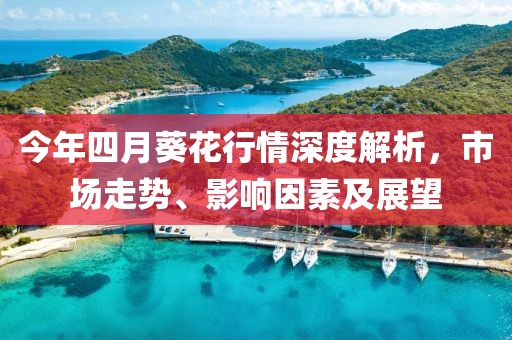 今年四月葵花行情深度解析,市場走勢、影響因素及展望