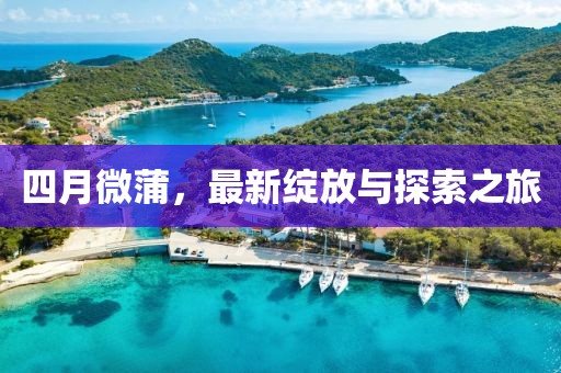 四月微蒲,最新綻放與探索之旅