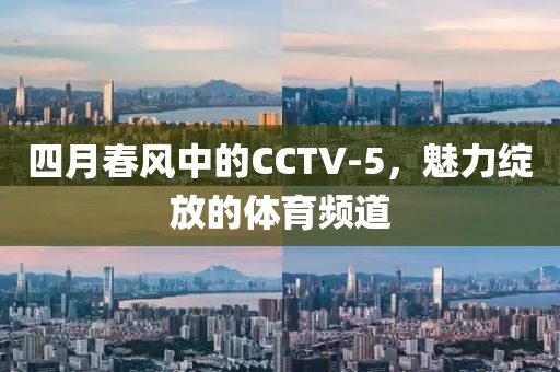 四月春風(fēng)中的CCTV-5,魅力綻放的體育頻道